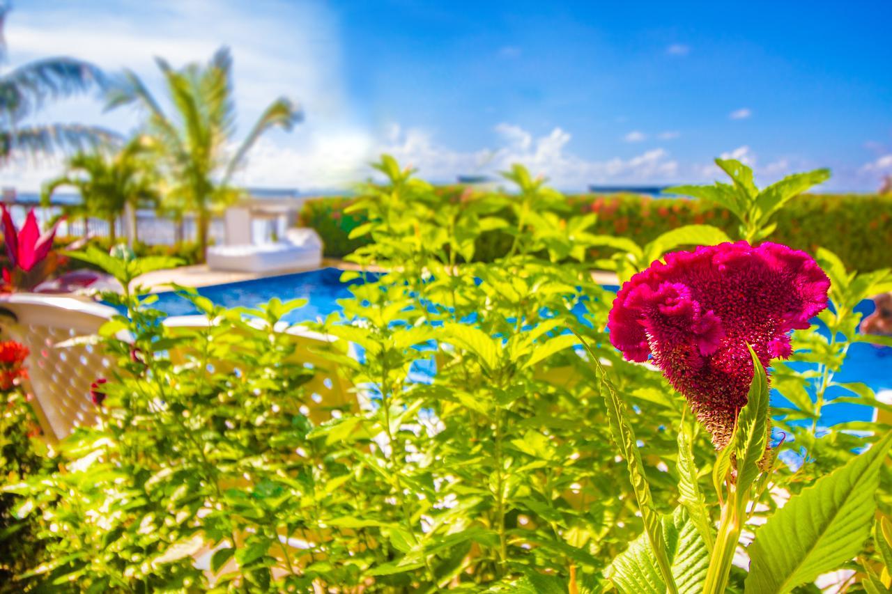 Cartagena Hotel Aria Manzanillo מראה חיצוני תמונה